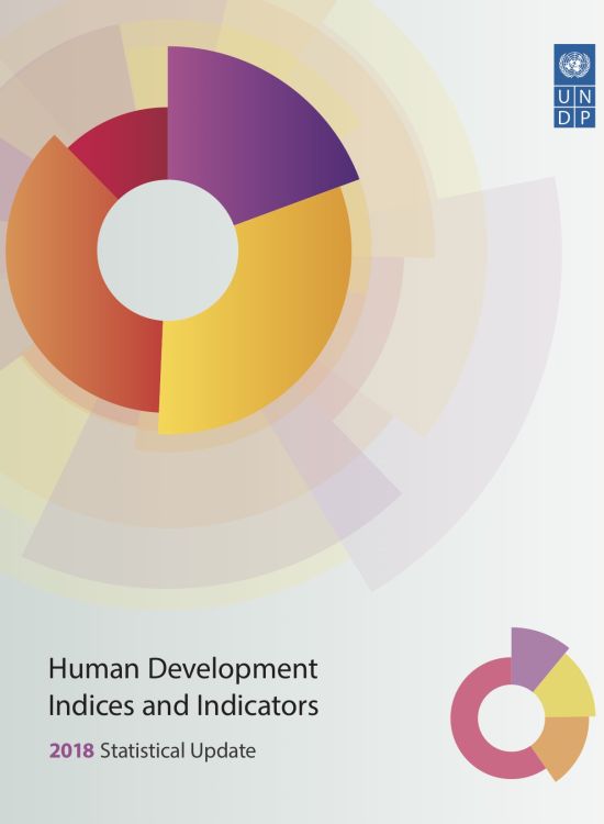 Publication report cover: Statistical Update 2018