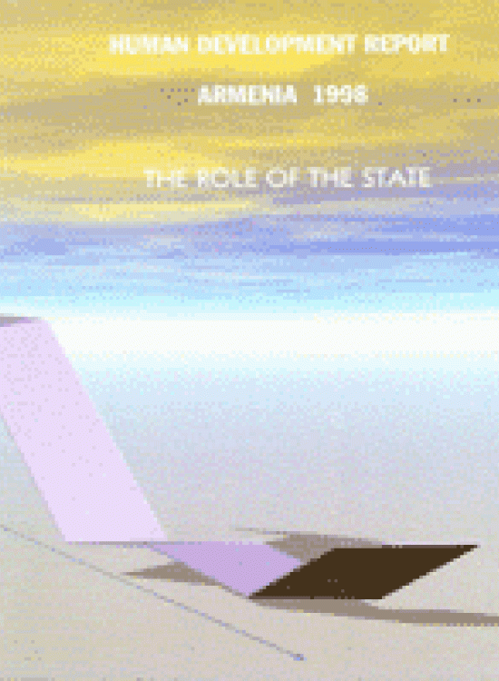 Publication report cover: The role of the State