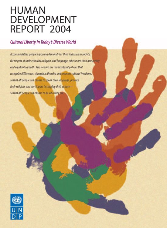 Publication report cover: Human Development Report 2004