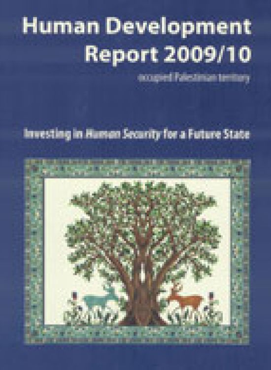 Publication report cover: Investing in Human Security for a Future State