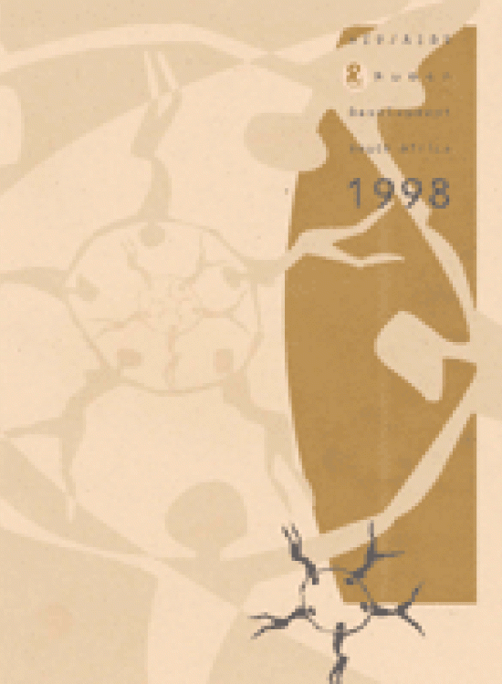 Publication report cover: HIV/AIDS and Human Development South Africa 1998