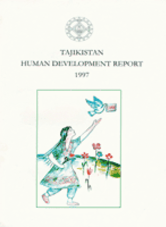 Publication report cover: Human Development Report on Social capital